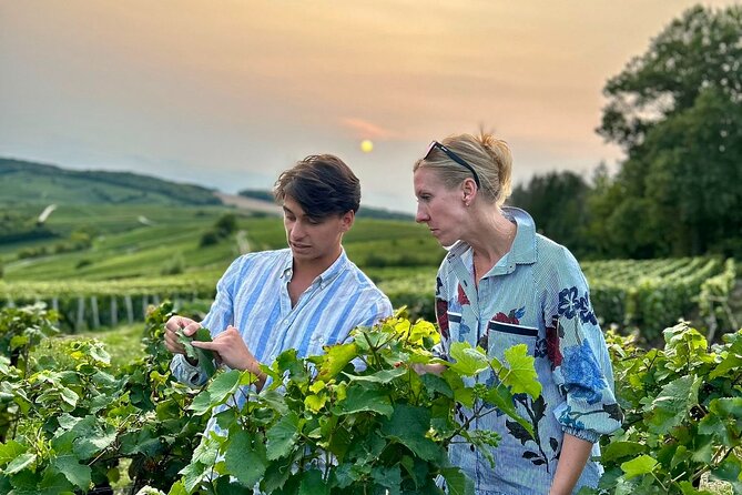 Champagne Day Trip from Paris with 8 Tastings & Lunch - Quick hits