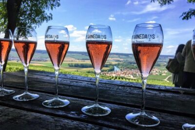 Champagne Day Trip from Paris with 8 Tastings & Lunch - Reims or Epernay: choosing between famous houses and the Champagne cathedral stop