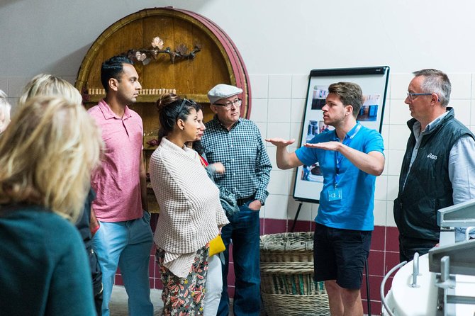 Champagne Day Trip with 6 Tastings, Reims and Winery from Paris - Stop 5: Champagne DOMI with Stéphane and up-close production details