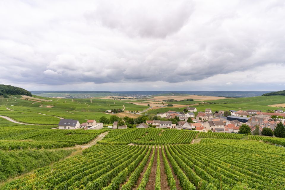 From Paris: Day Trip to Champagne with 8 Tastings & Lunch - Vineyard Tasting Moment: Learning the Terroir While You’re Outside