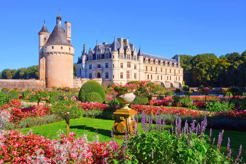 From Paris: Loire Valley Castles Day Trip With Wine Tasting - Blois lunch break: where to eat and what to do with two hours