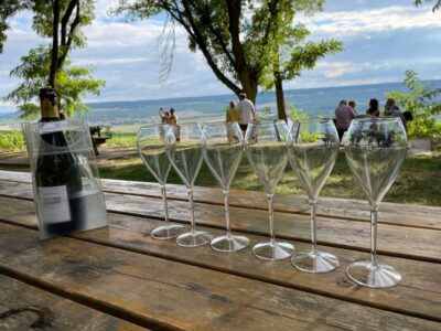 From Paris: Reims and Champagne Tasting Full-Day Tour - Getting picked up in Paris (and why it matters more than you think)