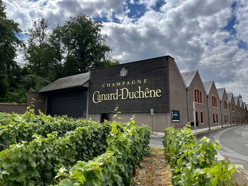 From Paris: Reims and Champagne Tasting Full-Day Tour - The blind tasting in the vineyards: training your palate for real differences