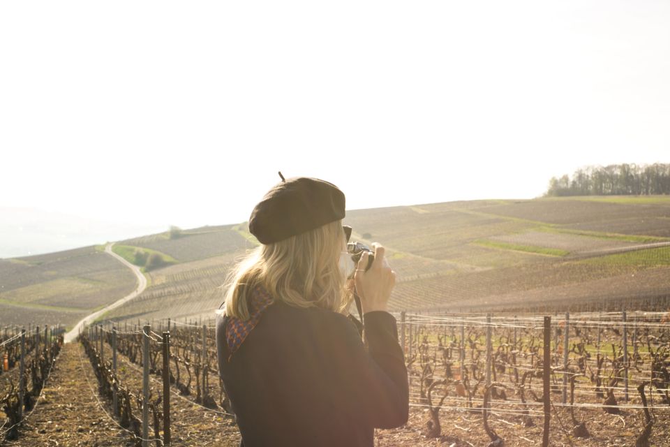 From Paris: Reims and Champagne Tasting Full-Day Tour - The Marne photo stop: a break with a tasting attached