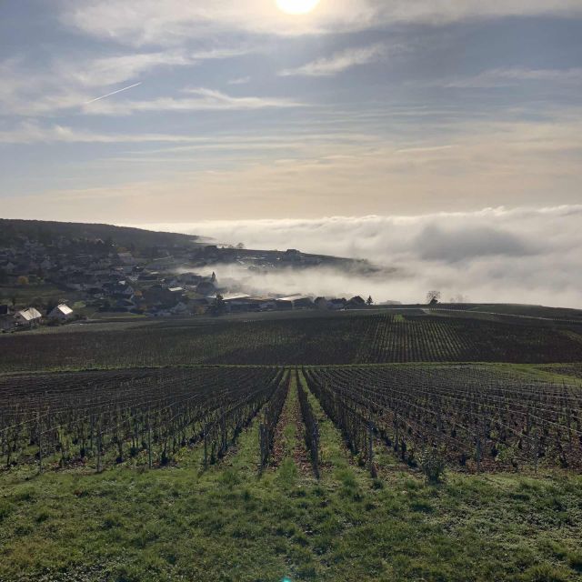 From Paris: Reims and Champagne Tasting Full-Day Tour - Lunch in Épernay: the meal you’ll actually remember