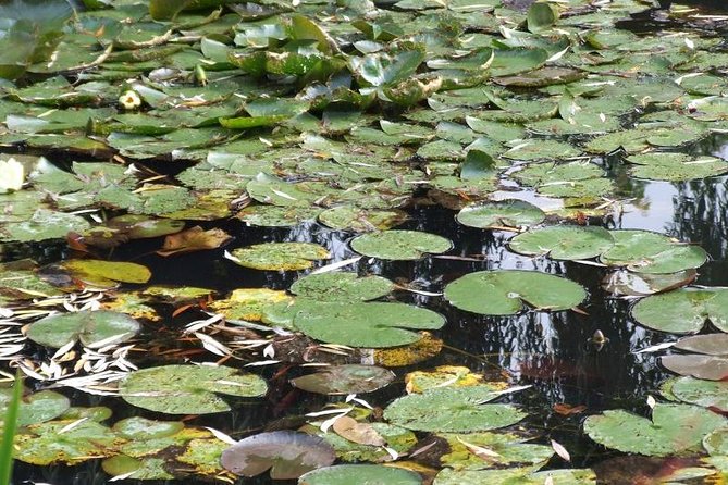 Giverny Small-Group Minivan with Hotel Pickup or Meeting Point - Monet’s house: what you’ll see (and how the visit feels)