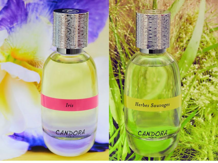 Paris: 2-Hour Perfume Creation Workshop - Smell and Sort: From Around 12 Scents to Real Personal Choice