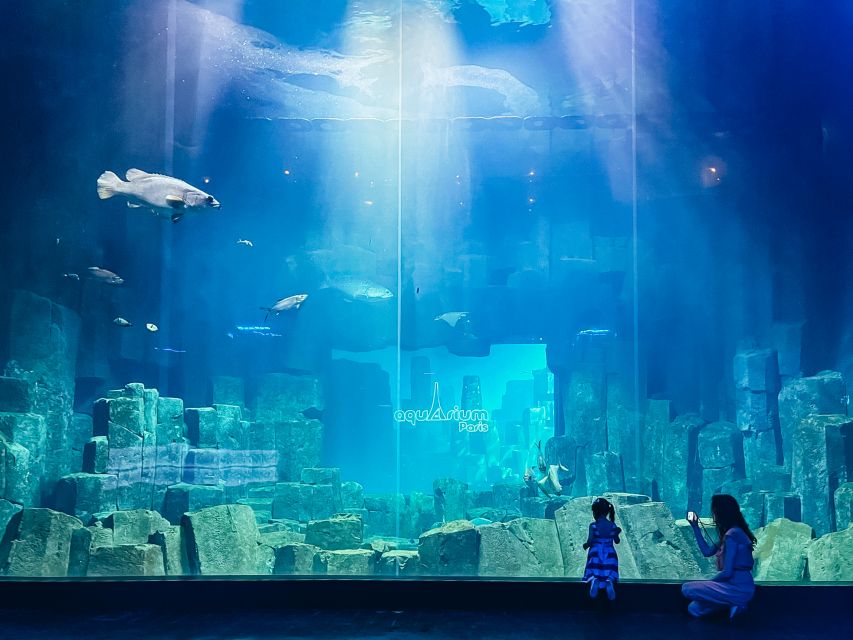 Paris: Aquarium de Paris Entrance Ticket - Key highlights you’ll actually use