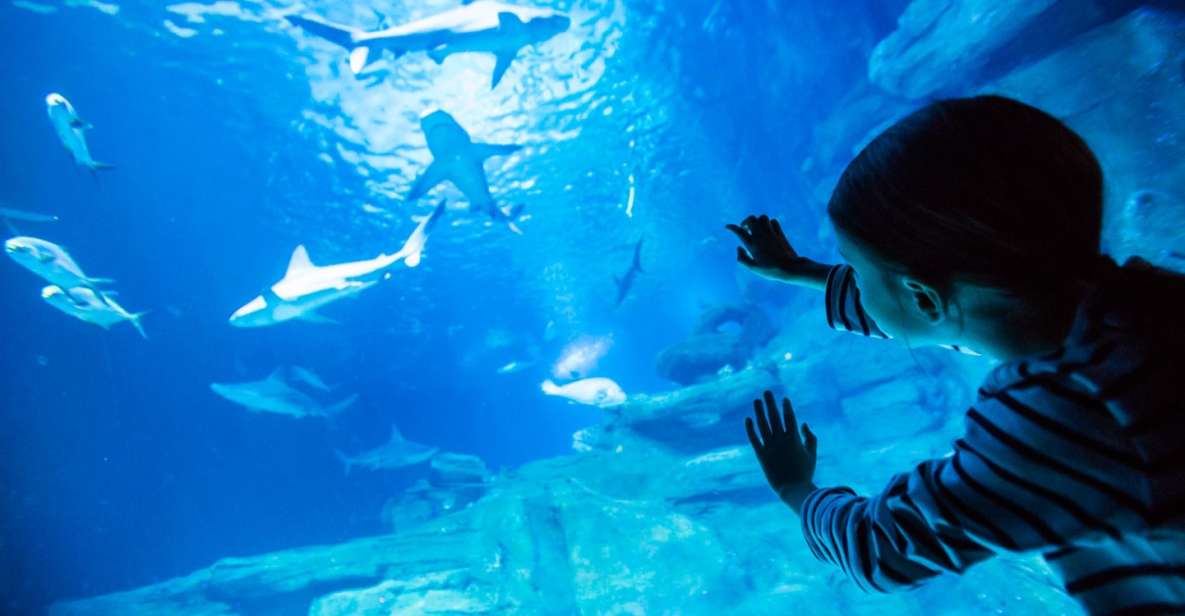 Paris: Aquarium de Paris Entrance Ticket - Aquarium de Paris at Trocadéro: the ocean break with Paris energy