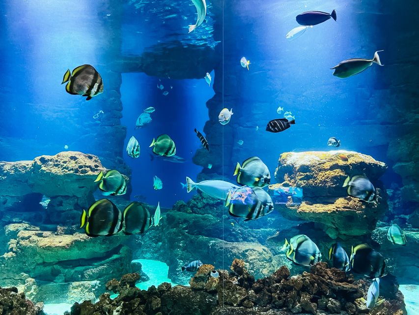 Paris: Aquarium de Paris Entrance Ticket - Workshops and live shows: how the daily program turns entry into a full outing