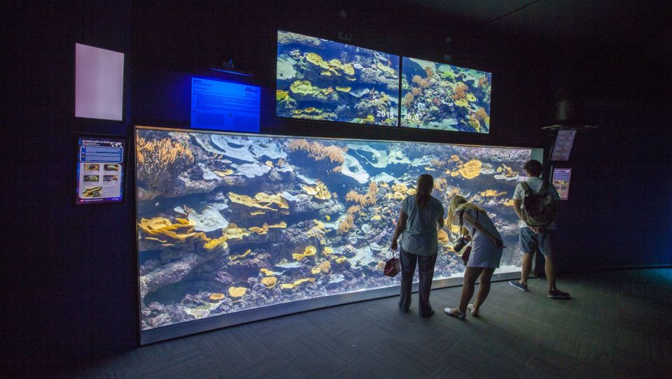 Paris: Aquarium de Paris Entrance Ticket - Price and logistics: is $25 worth it?