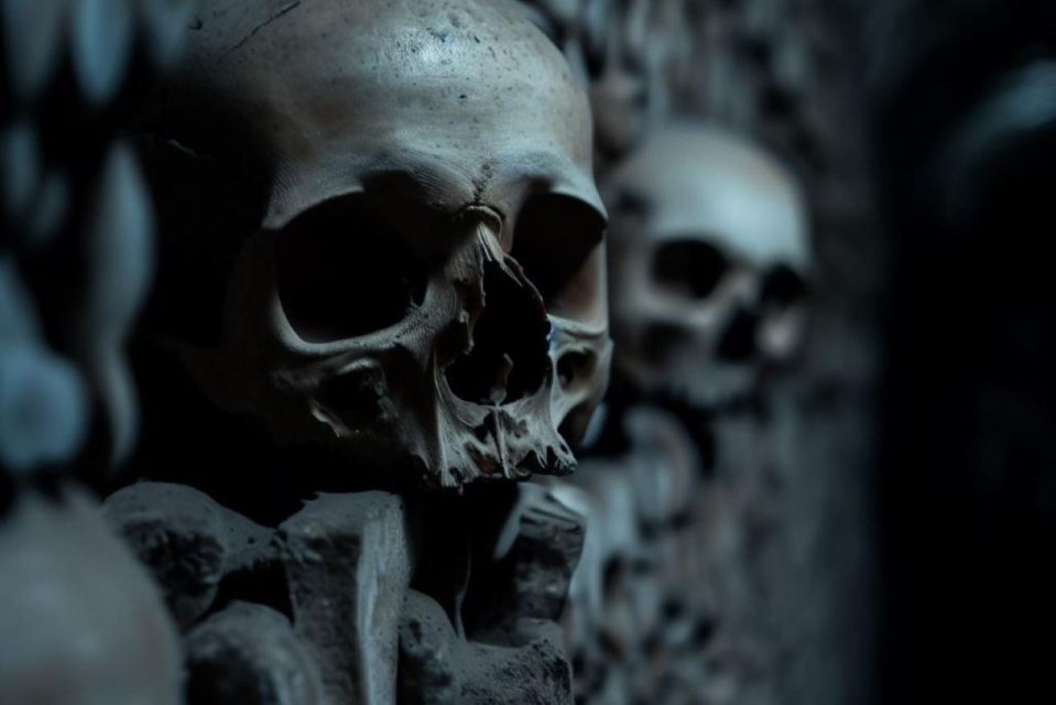 Paris: Catacombs, Audio Guide, and River Cruise Option - Walking the bones: what the Catacombs feel like with audio