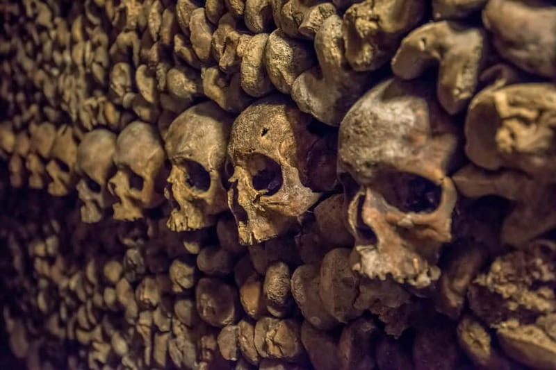 Paris: Catacombs Special Access Tour - Key highlights worth planning for