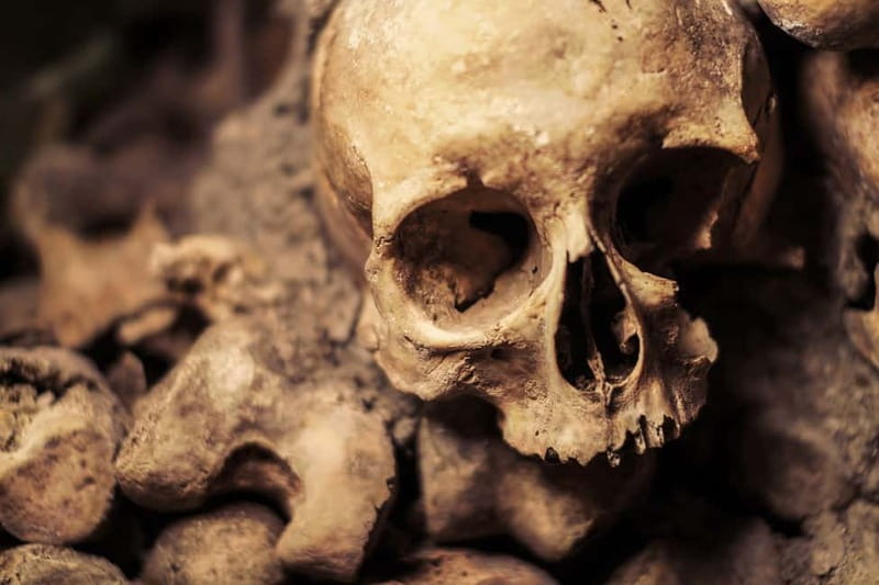 Paris: Catacombs Special Access Tour - Fast-track entry underground: how the tour unfolds for 2 hours
