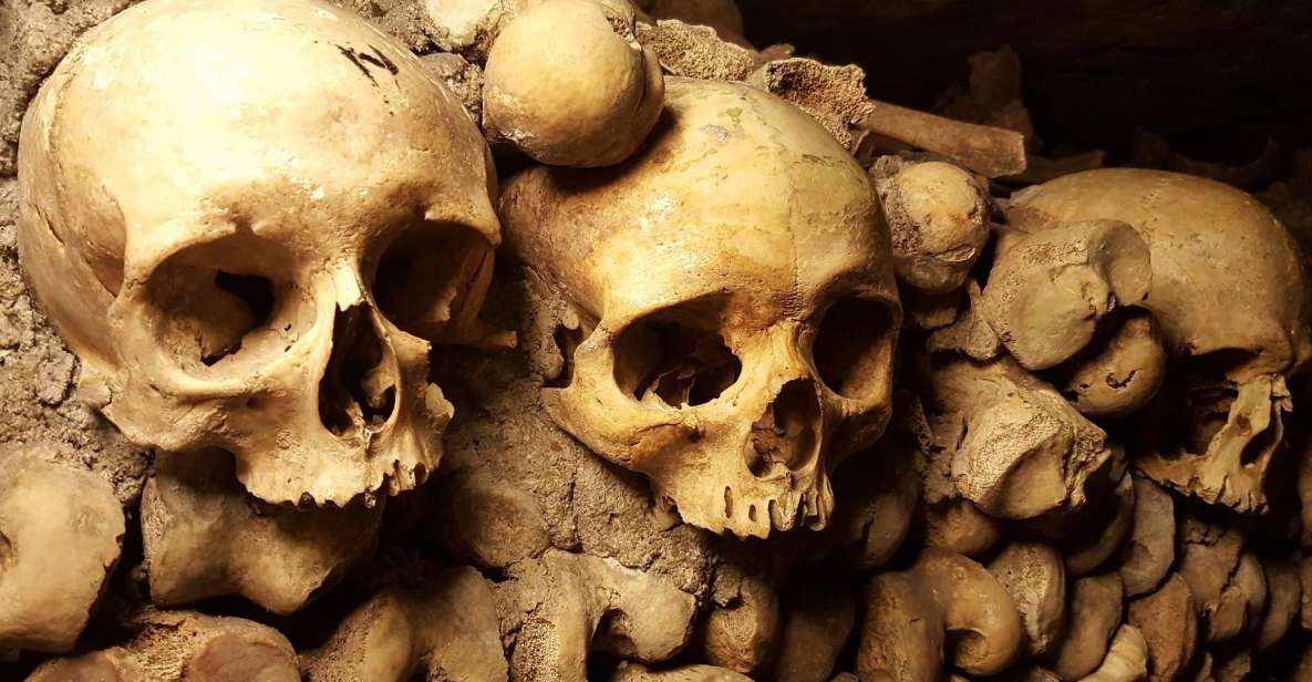 Paris: Catacombs Ticket and Seine River Cruise - Key things to know before you go