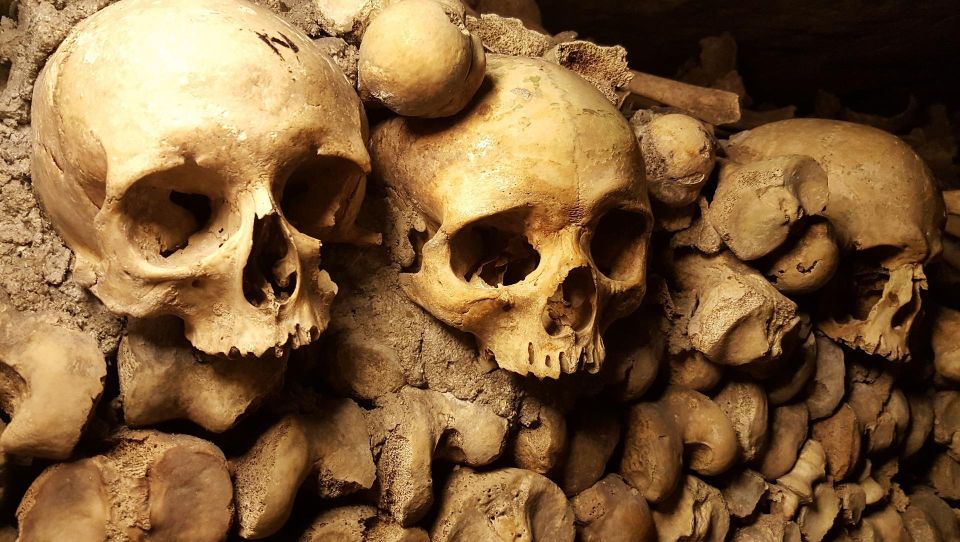 Paris: Catacombs Ticket and Seine River Cruise - Timing the cruise for sunset (and avoiding the wrong seats)