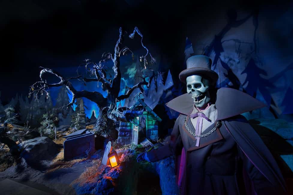 Paris: Disneyland Paris Ticket with Transfer - Price and Value at Around $182 Per Person