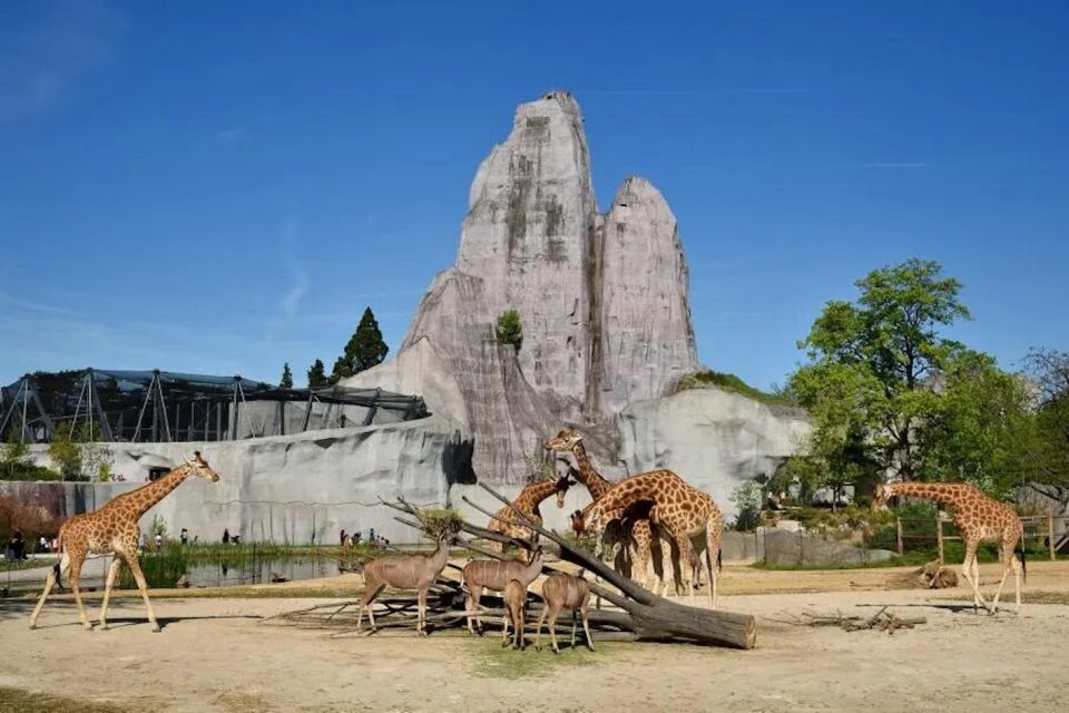 Paris: Paris Zoological Park Entrance Ticket - Refreshed Zoo Grounds + Easy Walking That Works in City Heat